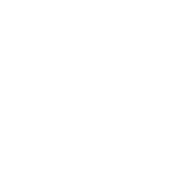 Logo Guadslip