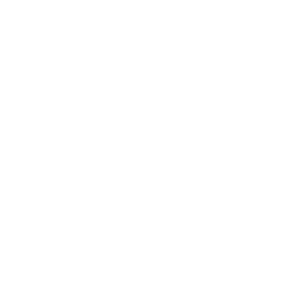 Logo Voraz